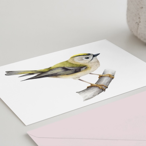 Yellow Crowned Kinglet Bird Wall Art Watercolor Illustration Print Unframed - Picture 4 of 5